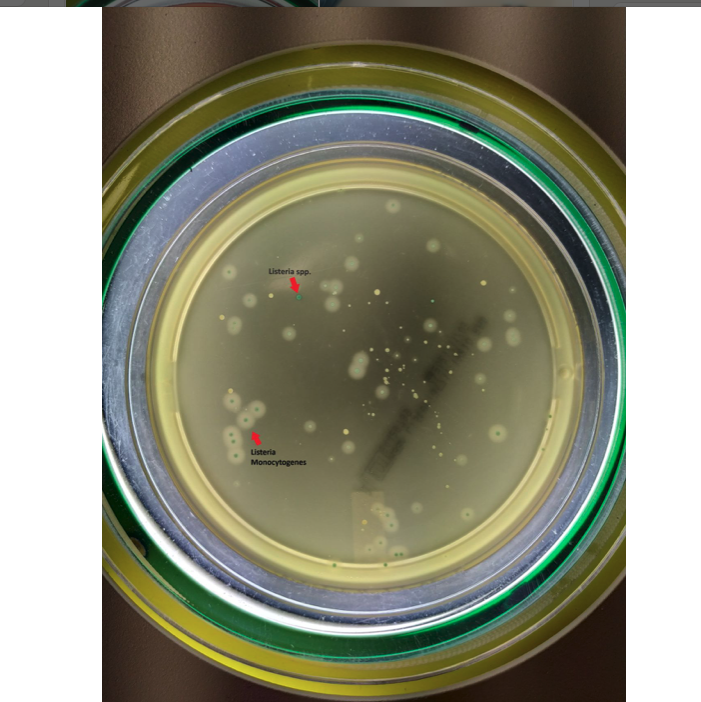 Captura de pantalla 2021-11-06 a las 17.52.46